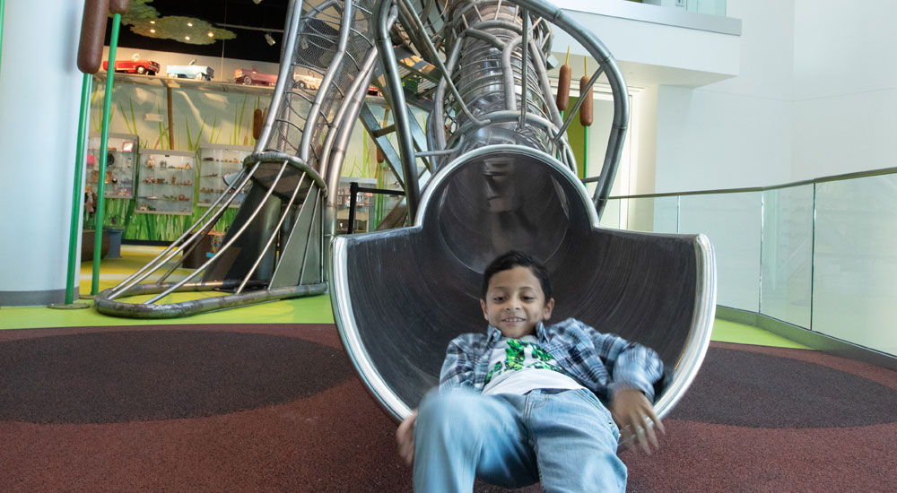 Family Fun at Discovery Park
