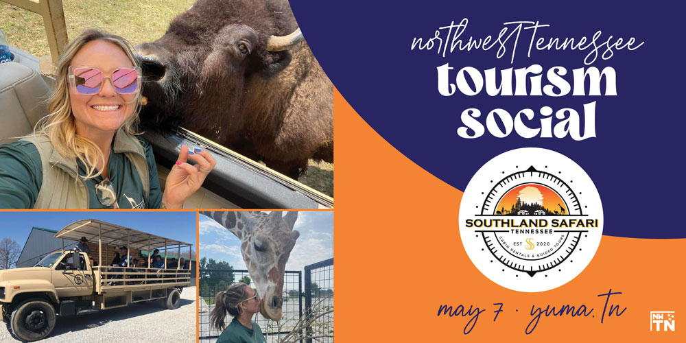 Tourism Social, Southland Safari