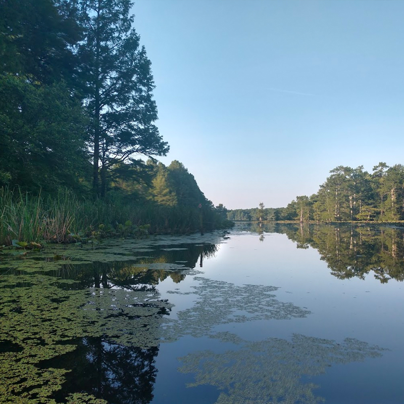 Reelfoot National Wildlife Refuge