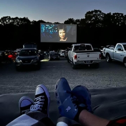 Birdsong Drive-In Theater